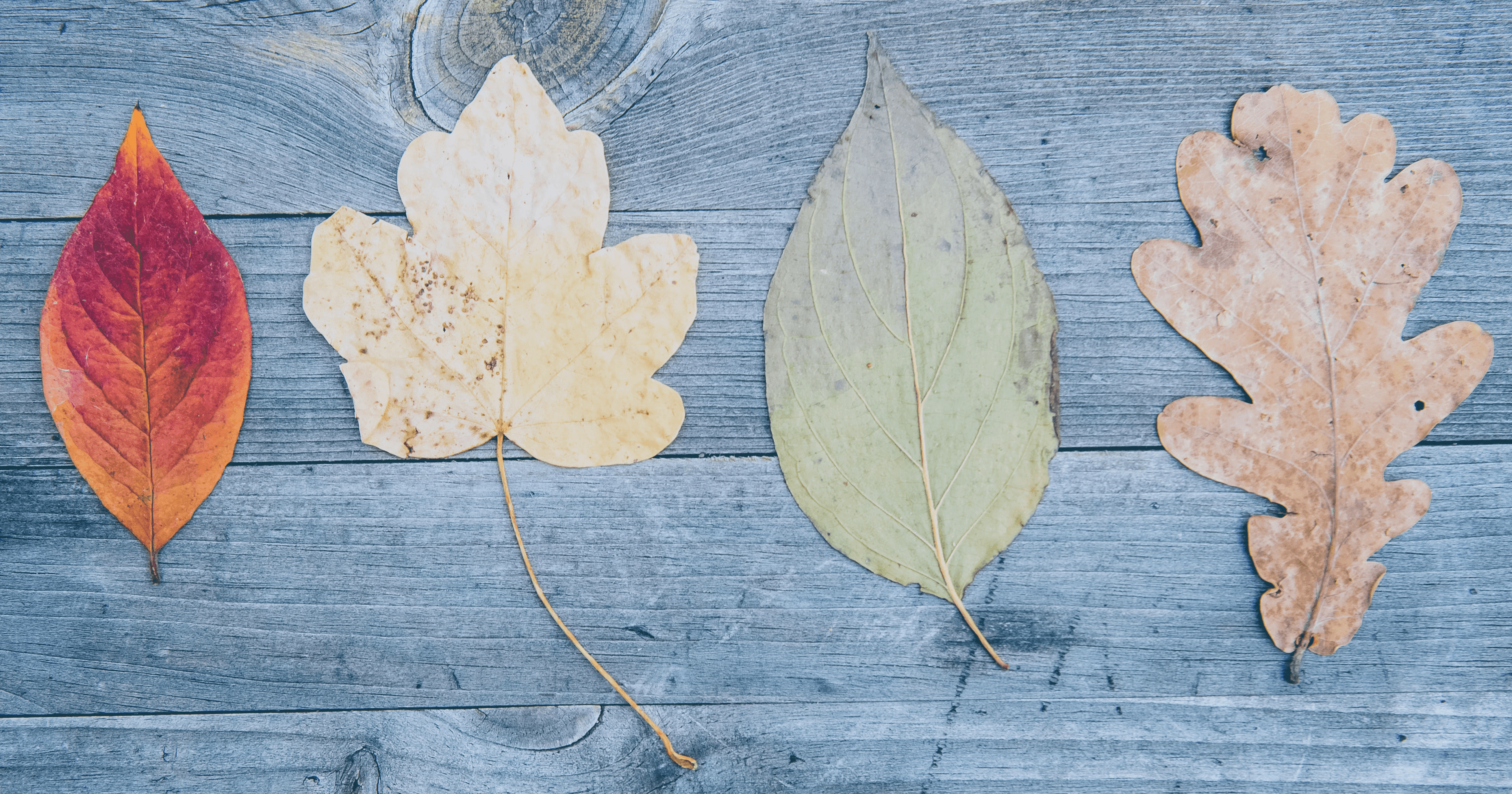 🧠 I Code Differently Depending on These 5 Project Types